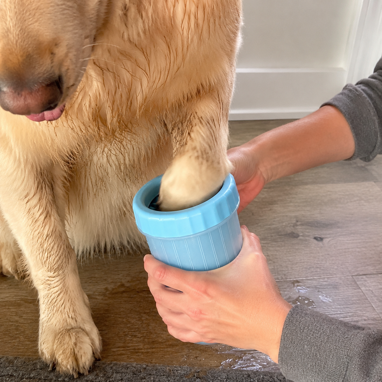 “PawFresh”pet paw cleaner